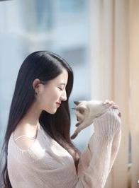 总裁的猎爱游戏