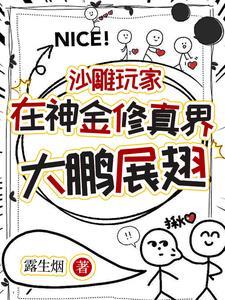 带着游戏小号穿越