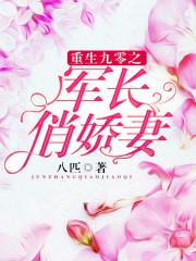 重生九零军长俏佳妻