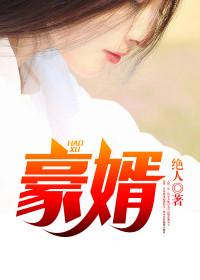 苏家的上门女婿叶飞