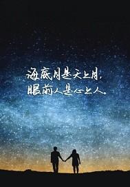 我想你永远不会知道歌词是什么意思